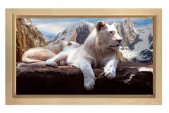 Kar Aslanı Tablosu Naturel Ahşap Çerçeve - 100x200