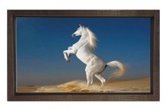 Şaha Kalkan Beyaz At Tablosu Kahverengi Ahşap Çerçeve - 70x100