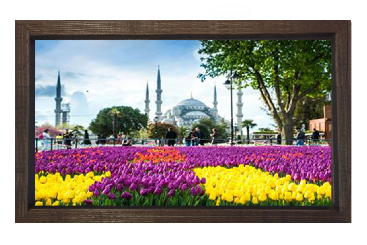 Sultan Ahmet Tablosu