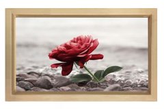Siyah beyaz Gül Pencere Tablosu Naturel Ahşap Çerçeve - 45x30