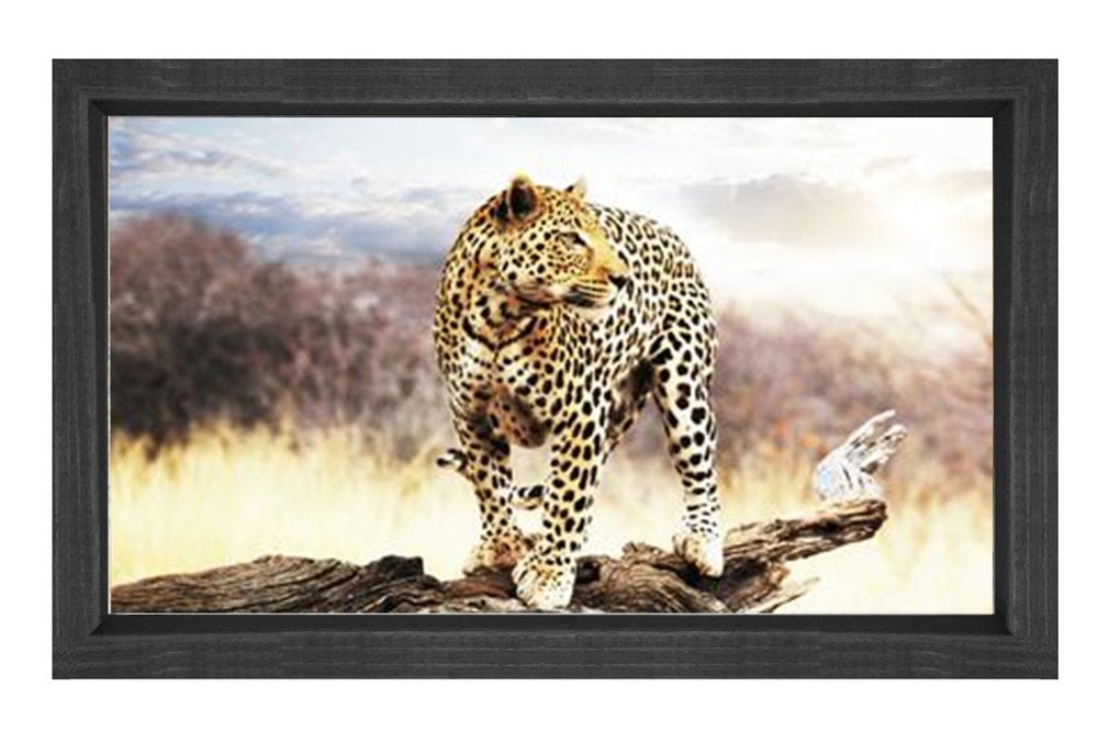 Çita Tablosu Siyah Ahşap Çerçeve - 50x70