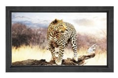 Çita Tablosu Siyah Ahşap Çerçeve - 50x70