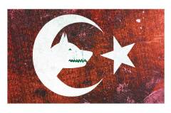 Bozkurt Ve Türk Bayrağı Tablosu Çerçevesiz - 100x150