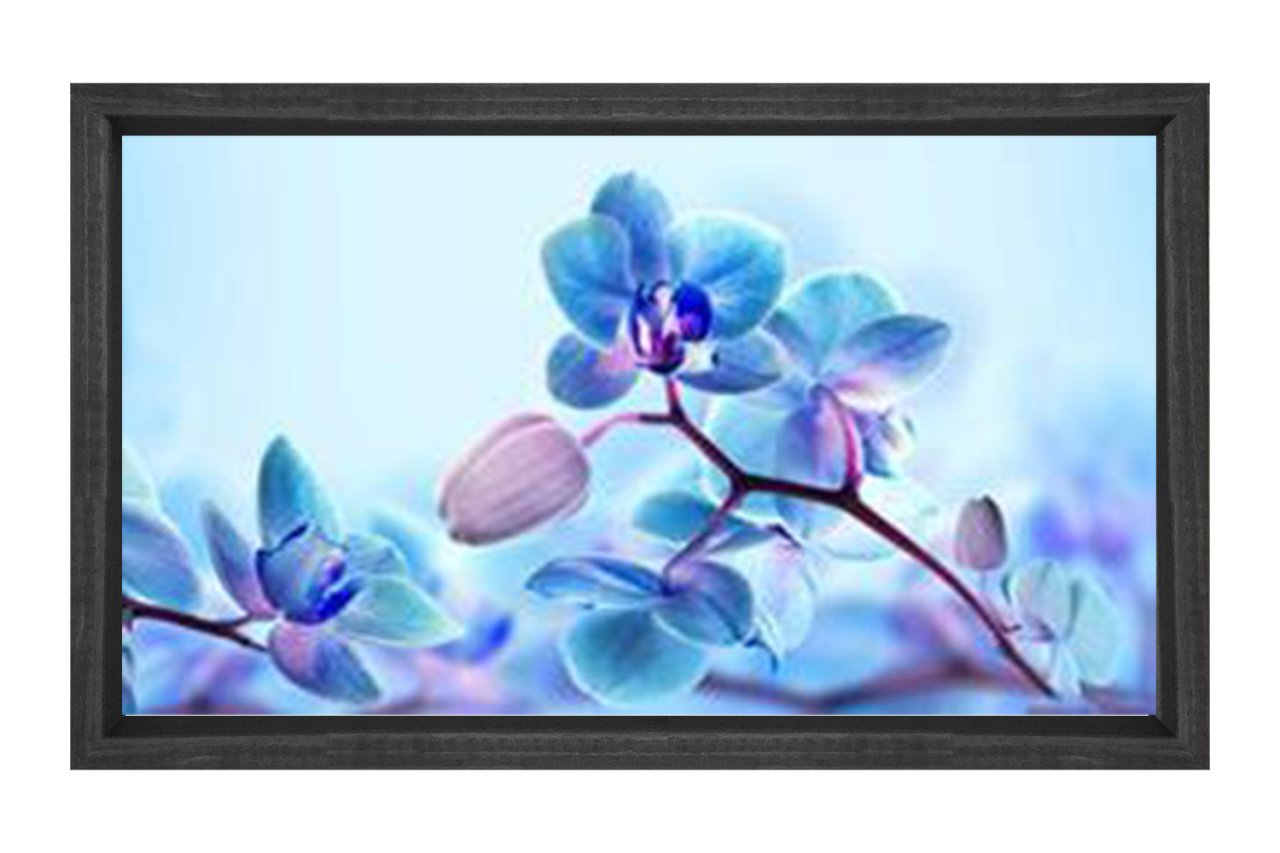 Mavi Menekşe Çiçekler Tablosu Siyah Ahşap - 50x70