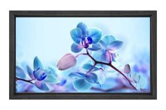 Mavi Menekşe Çiçekler Tablosu Siyah Ahşap - 50x70