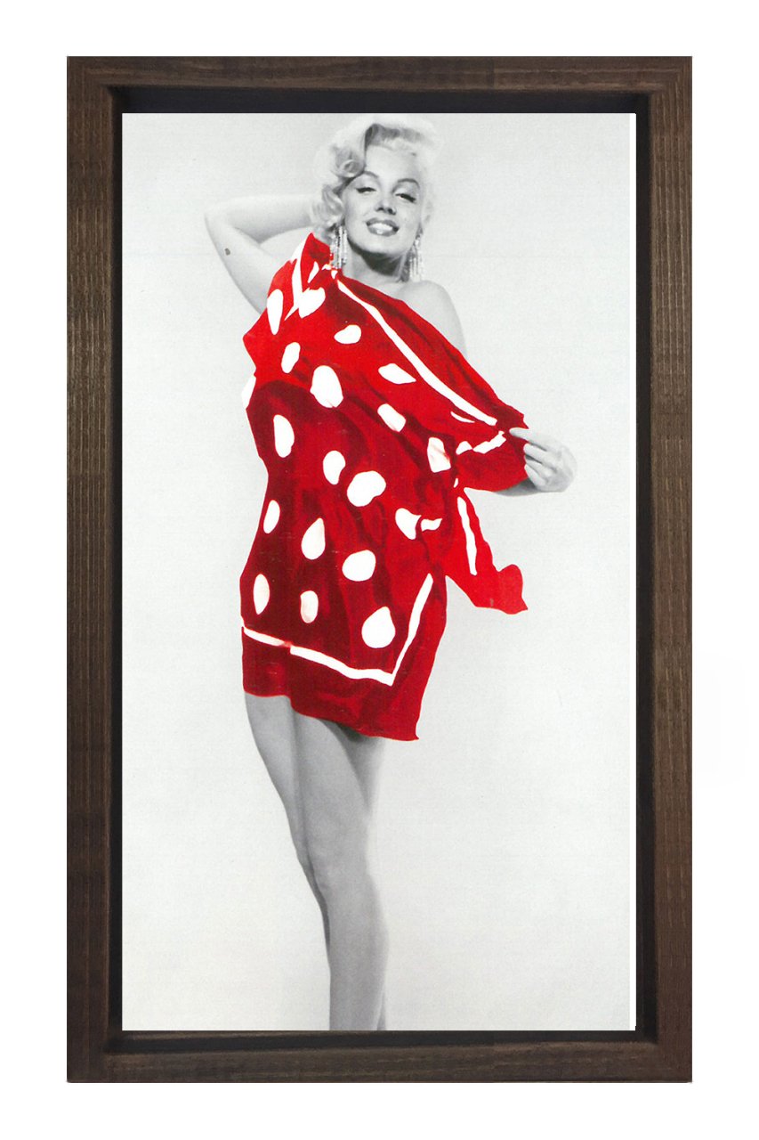 Marilyn Monroe  Tablosu
