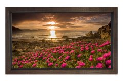 Kırmızı Çiçekler Günbatımı Tablosu Kahverengi Ahşap - 50x90