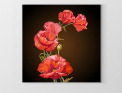 Dekoratif Güller Tablosu Çerçevesiz - 30x30