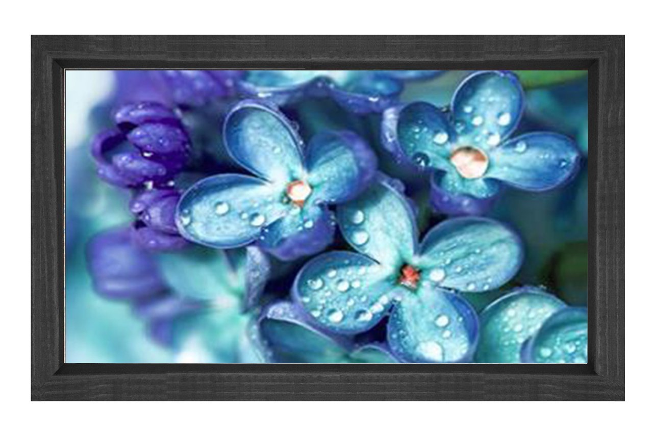 Mavi Menekşe Çiçekleri Tablosu Siyah Ahşap Çerçeve - 50x70