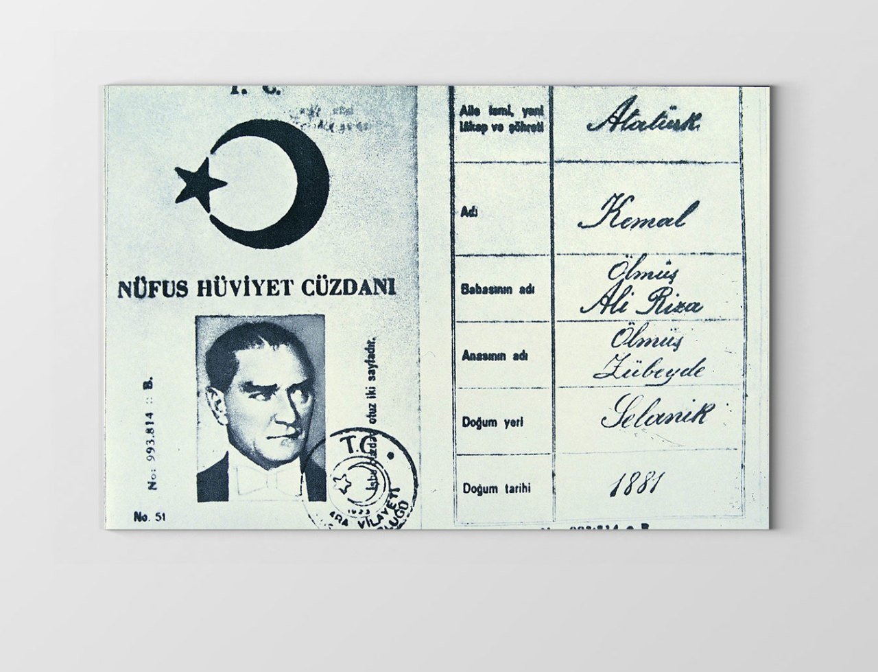 Atatürk Nüfüs Kağıdı Tablosu Çerçevesiz - 45x30