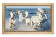 Suda Koşan Beyaz Atlar Tablosu Naturel Ahşap Çerçeve - 70x100