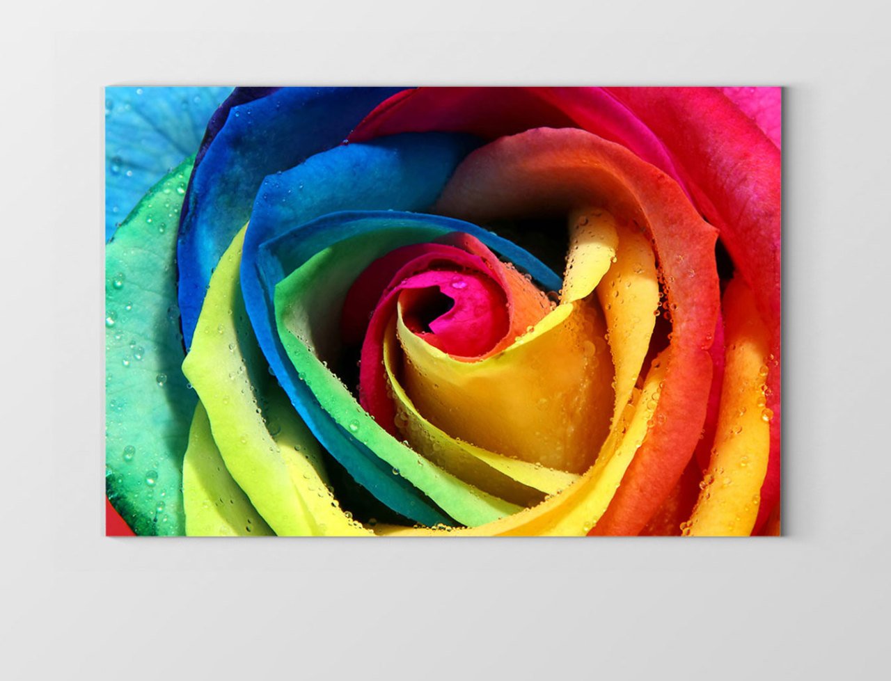 Renkli Gül Çiçeği Tablosu Çerçevesiz - 100x150