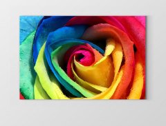 Renkli Gül Çiçeği Tablosu Çerçevesiz - 100x150