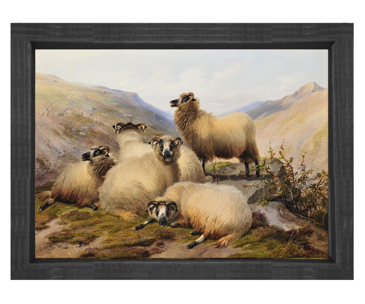 Koçlar Tablosu Siyah Ahşap Çerçeve - 100x200