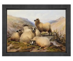 Koçlar Tablosu Siyah Ahşap Çerçeve - 100x200