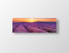 Mor Tarla ve Gün Batımı Tablosu Çerçevesiz - 180x60
