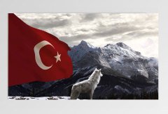 Bozkurt Ve Türk Bayrağı Tablosu Çerçevesiz - 45x30