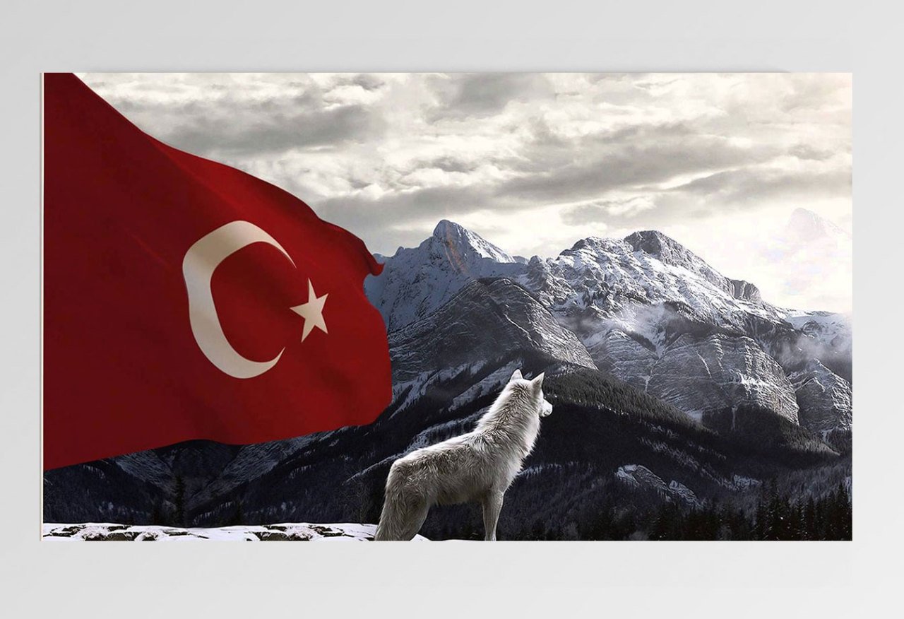 Bozkurt Ve Türk Bayrağı Tablosu Çerçevesiz - 70x100