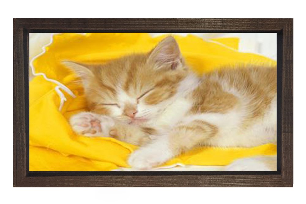 Kedi Tablosu