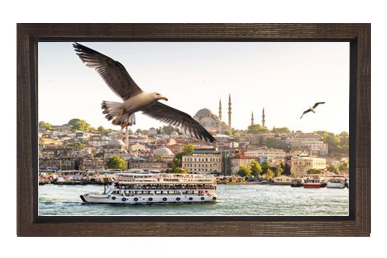 İstanbul ve Martılar Tablosu Kahverengi Ahşap - 100x200