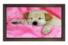 Sevimli Köpek Tablosu