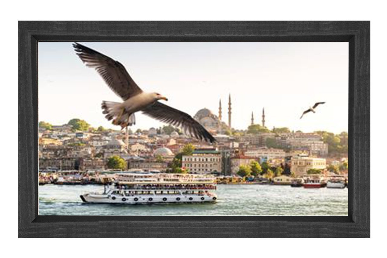 İstanbul ve Martılar Tablosu Siyah Ahşap - 40x60