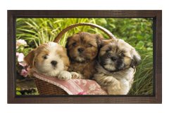 Yavru Köpekler Tablosu