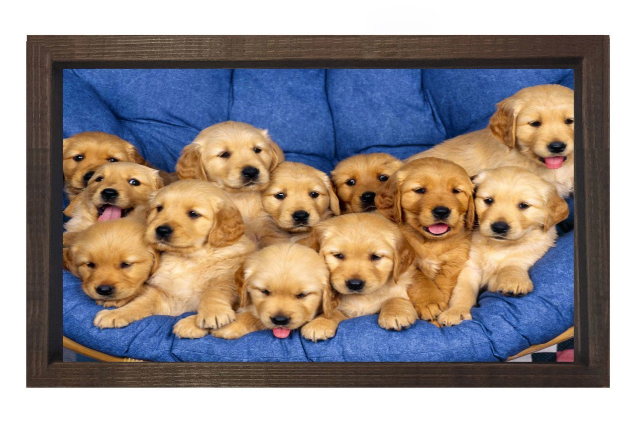 Sevimli Köpekler Tablosu