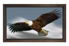 Kartal Tablosu