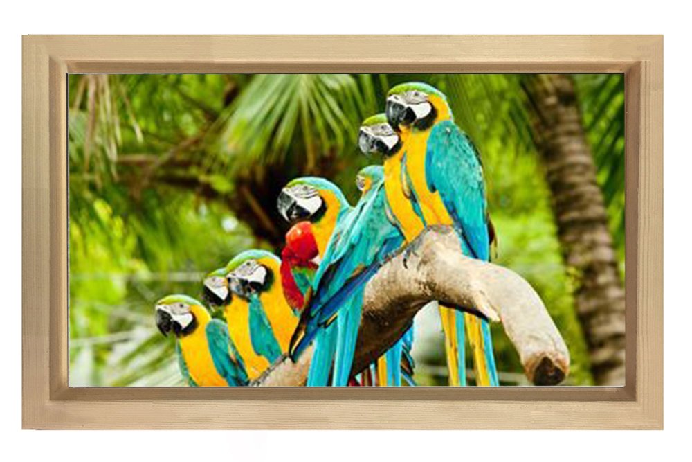 Papağanlar Tablosu Naturel Ahşap Çerçeve - 70x100