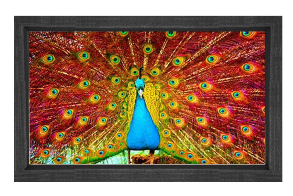 Tavus Kuşu Tablosu Siyah Ahşap - 40x60