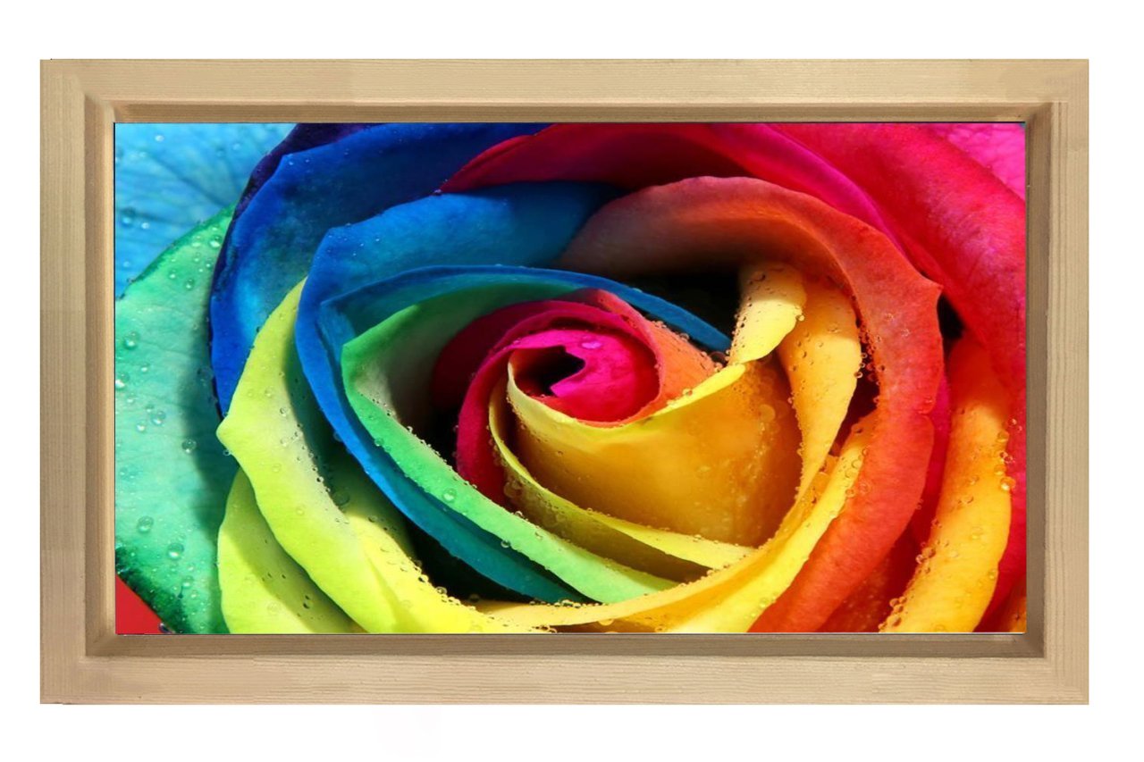 Renkli Gül Çiçeği Tablosu Naturel Ahşap Çerçeve - 45x30