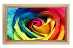 Renkli Gül Çiçeği Tablosu Naturel Ahşap Çerçeve - 45x30