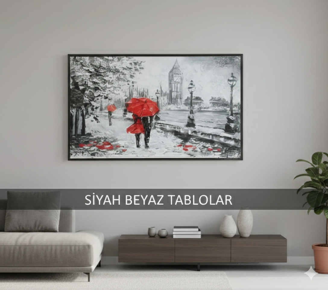 SİYAH BEYAZ TABLOLAR