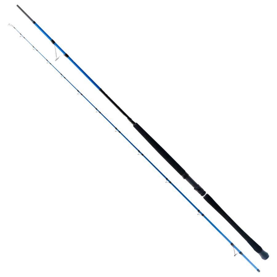 Ryuji Shore Game Fuji 295 cm 30-100gr 2 Parça Shore Jig Kamış