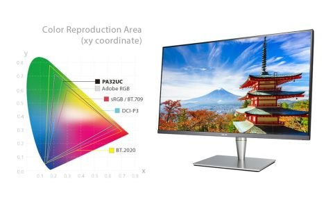 Asus ProArt PA24AC 24.1'' 5ms IPS Pivot Monitör