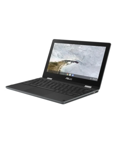 Asus C214MA-BU0316 N4020 4 GB 64 GB UHD Graphics 600 11.6'' Notebook