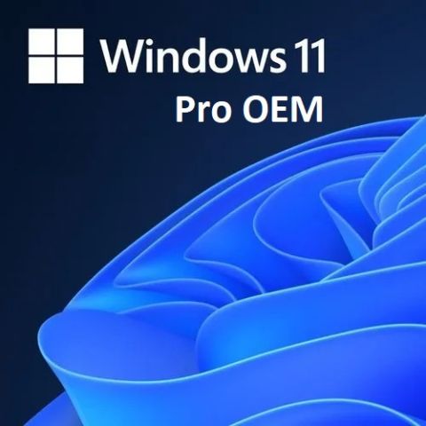 MS Windows 11 Pro FQC-10556 64BIT TR (OEM)