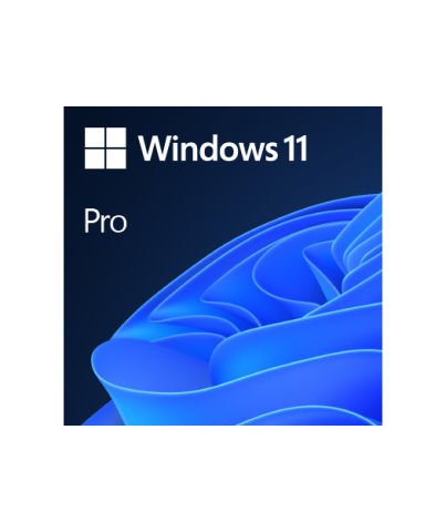 MS Windows 11 Pro FQC-10528 64BIT ENG (OEM)