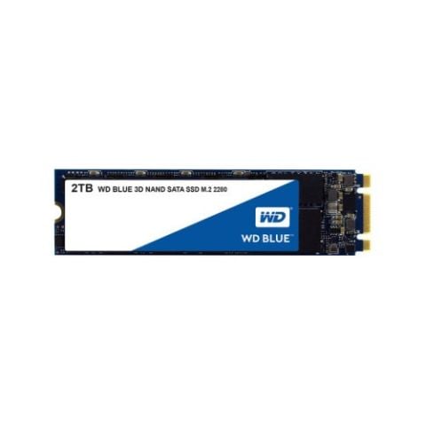 Western Digital Blue SA510 WDS100T3B0B SATA 3.0 1 TB M.2 SSD