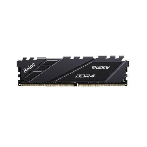 Netac 8 GB 3600 MHz DDR4 NTSDD4P36SP-08E Ram