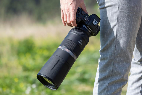 Canon RF 800mm f/11 IS STM Lens