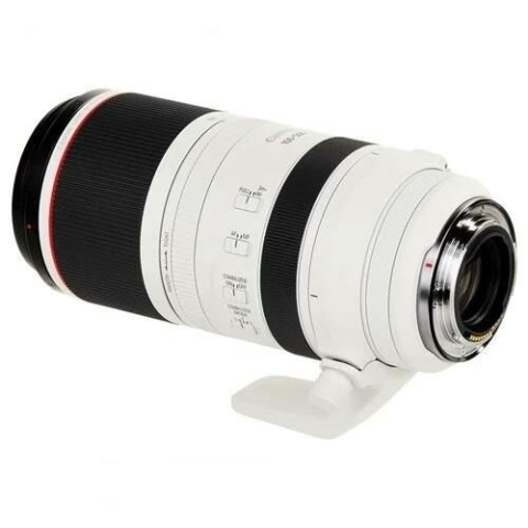 Canon RF 100-500mm f/4.5-7.1L IS USM Lens