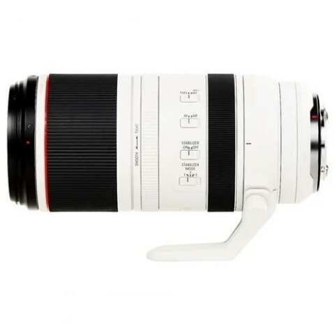Canon RF 100-500mm f/4.5-7.1L IS USM Lens