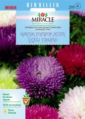 Miracle Karışık Pompon Aster Papatya Çiçeği Tohumu (360 tohum)