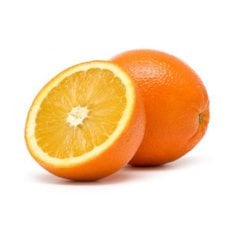 Tüplü 3-4 Yaş Bodur Tipte Meyve Verme Yaşında Fukumoto Portakal Fidanı