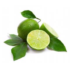 Özel Ürün Tüplü Meksika Lime Limon Fidanı