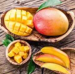 Tüplü Aromalı Mango Fidanı (2 adet)