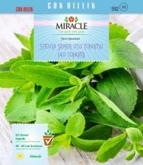 Doğal Stevia Şeker Otu Tohumu (1000 tohum)