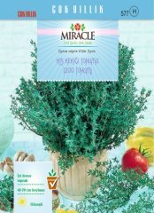 Miracle Kış Kekiği Tohumu (200 tohum)